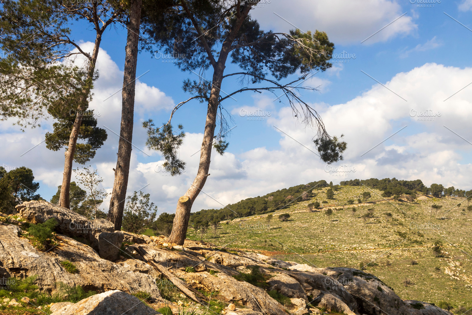 Mount Gilboa. A picturesque rocky, a Nature Photo by Imaginarium