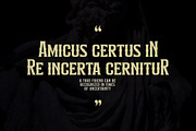 Alinore Display Typeface Font LS, a Sans Serif Font by Storytype Studio (Thumbnail 4 of 15)