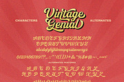 Vintage Genial | Variables Script, a Script Font by Typeskets (Thumbnail 11 of 13)