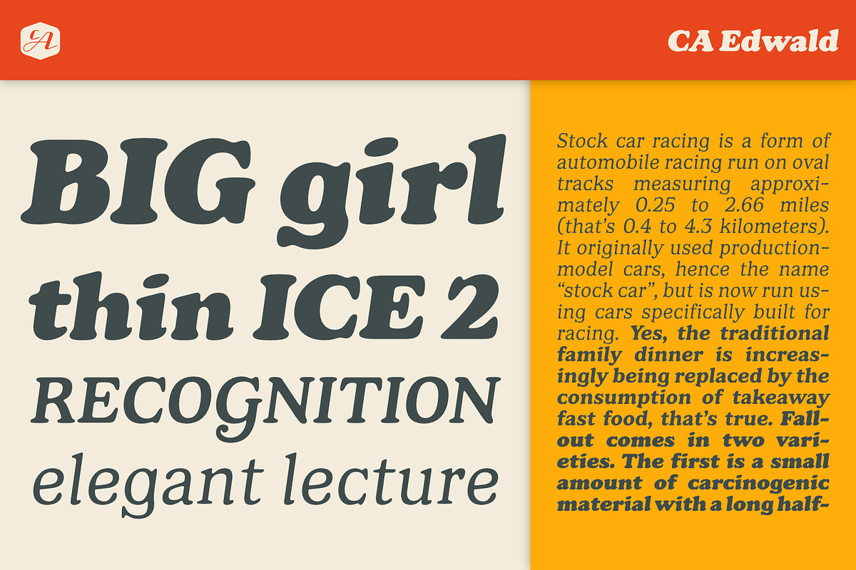 CA Edwald, a Serif Font by Cape Arcona Type Foundry (Photo 4 of 10)