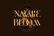 Brothers | DISPLAY TYPEFACE, a Sans Serif Font by Almeera Std (Thumbnail 5 of 12)