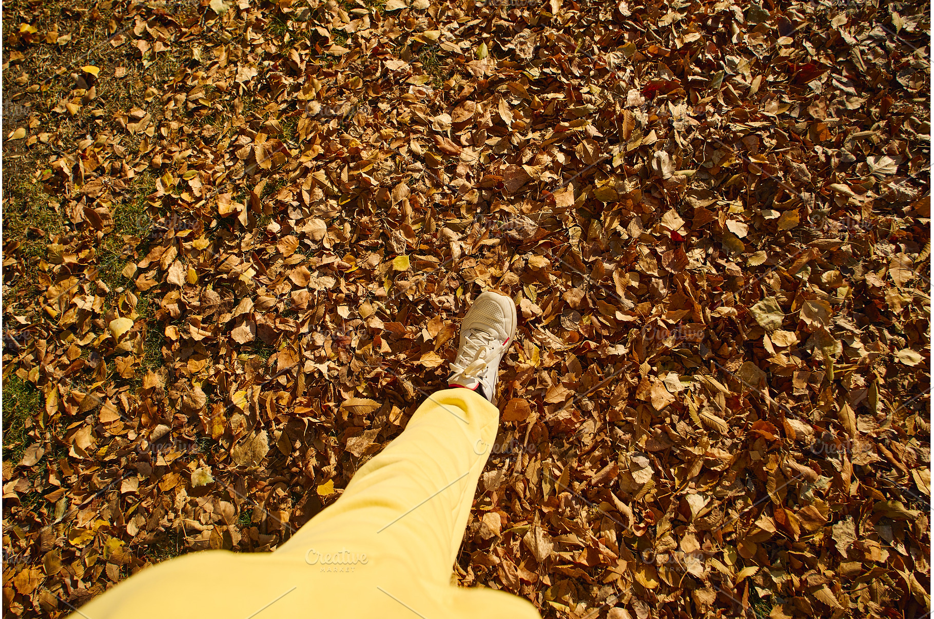 Bright yellow pants and white, a Nature Photo by darksoul72