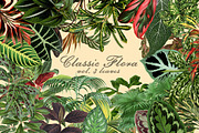 Vintage Illustrations - Leaves, an Illustration by BlackBird Foundry (Thumbnail 1 of 4)