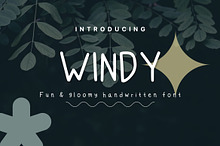 Windy - Clean Handwritten Font