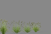 Shrub 2, an Environmental 3D Model by AndrewWhite (Thumbnail 8 of 14)