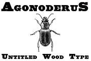 Untitled Wood Type FAMILY PACK, a Serif Font by Intellecta Design (Thumbnail 1 of 7)
