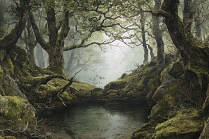 Mystical Tuscan Oak Forest Wallpaper, a Decorative Illustration by Virgo Studio