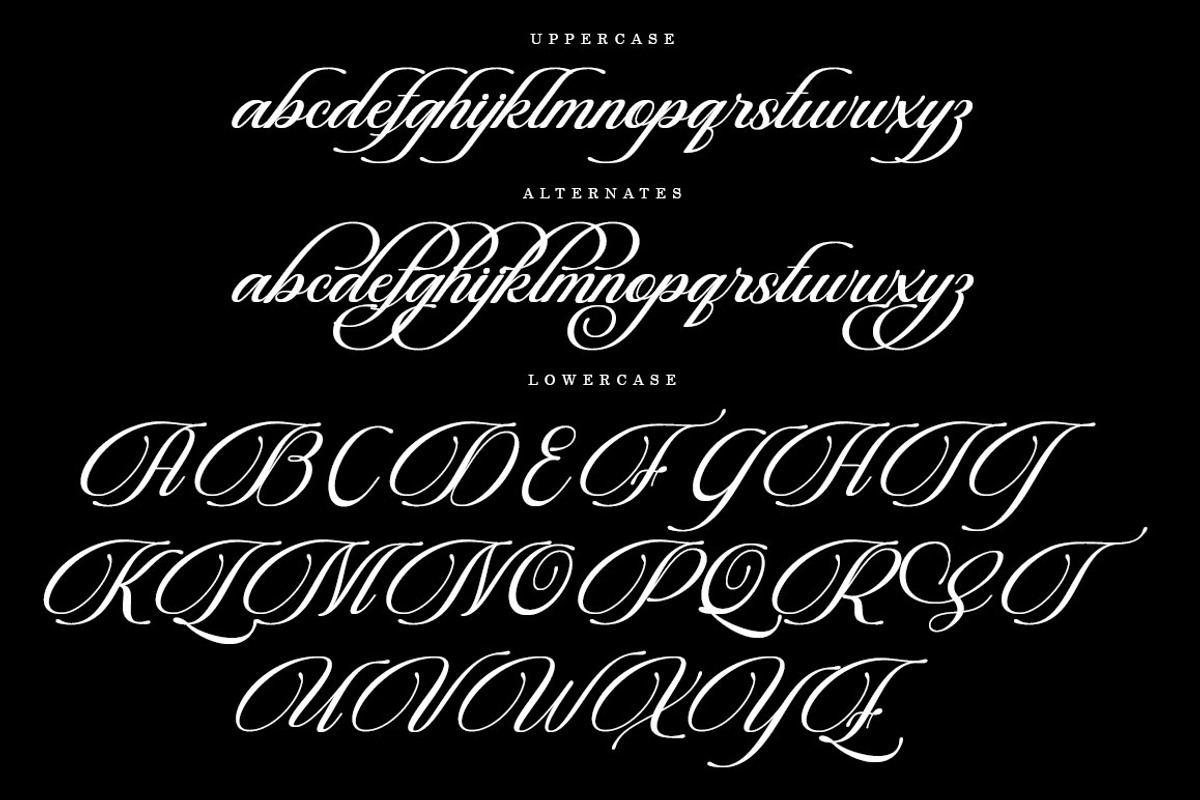 Beautiful Heliography Script, a Script Font by Has_rizal (Photo 6 of 12)