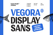 Vegora Display Sans, a Sans Serif Font by Fargun Studio (Thumbnail 1 of 15)