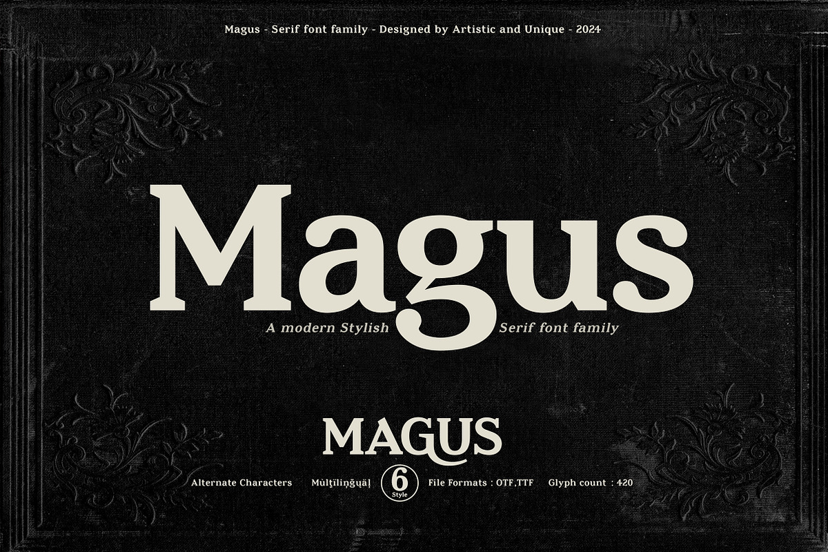 Magus - Serif font family, a Serif Font by Artistic & Unique (Photo 1 of 15)