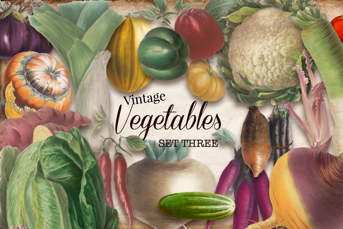 Vintage Vegetables Set 3, a Graphic by Digital Vintage (Photo 1 of 2)