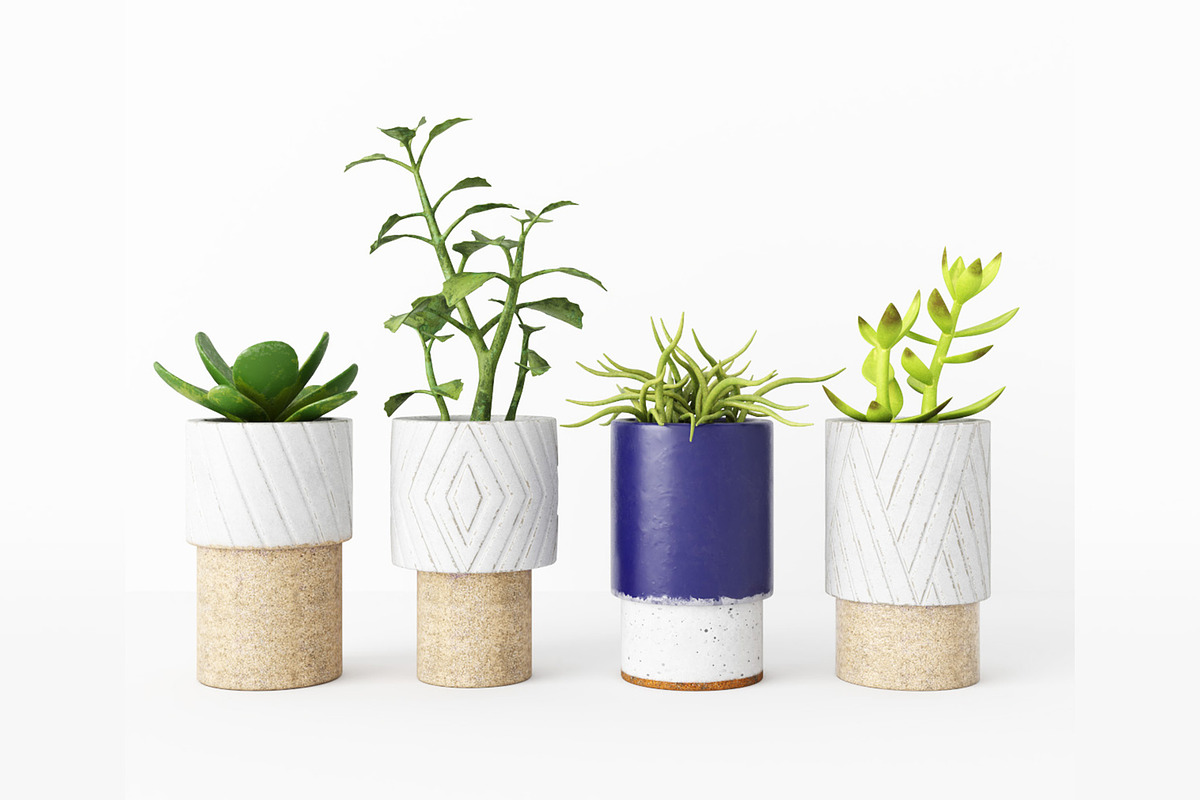 Decorative Plants, a Furniture 3D Model by 3DCargo (Photo 2 of 9)