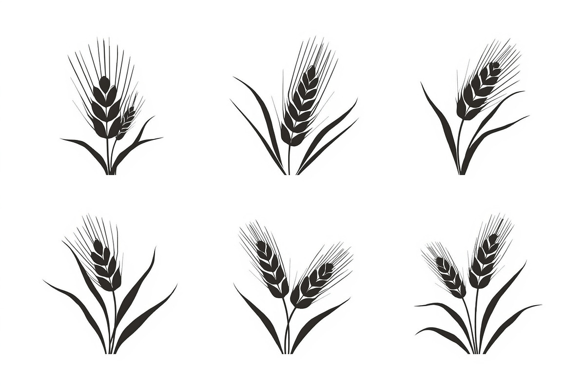 Grass & Wheat Files, an Illustration by jahid234 (Photo 3 of 9)