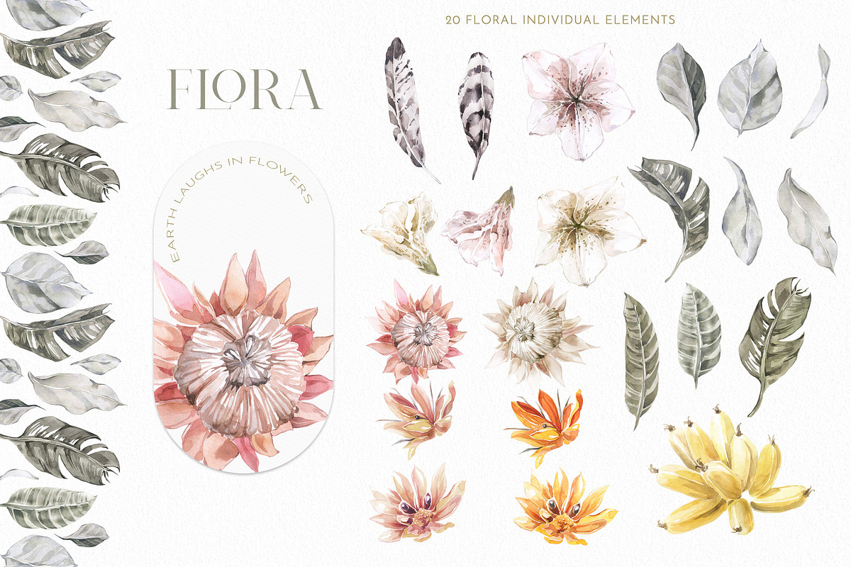 Animals Watercolor Clipart Bundle, an Animal Illustration by Cat In Colour (Photo 23 of 41)