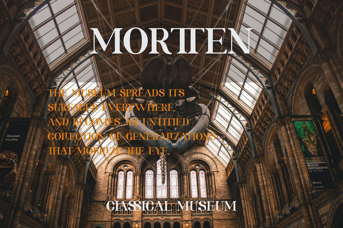 ROLATE Ligature Serif Typeface, a Serif Font by Alfinart (Photo 4 of 10)