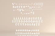 Fenir Elegant Serif Font, a Serif Font by Creative Foundry (Thumbnail 10 of 10)
