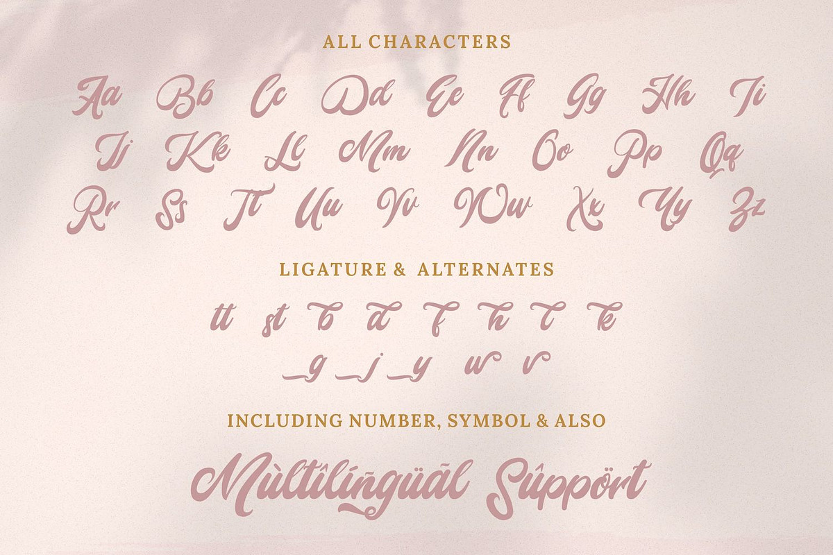 Mady Risaw - Modern Script Font, a Script Font by StringLabs (Photo 10 of 11)