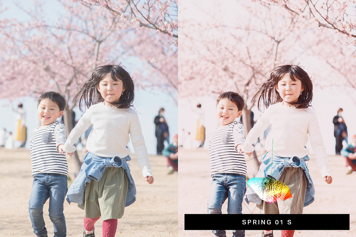 50 Sakura Lightroom Presets and LUTs, a Preset Add-On by SparkleStock (Photo 6 of 10)