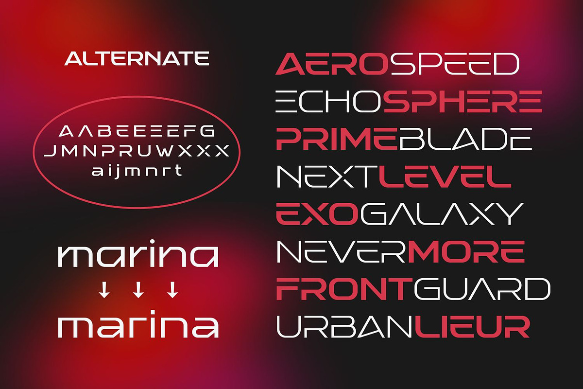 Baradig Fonts Family, a Sans Serif Font by Asenbayu (Photo 12 of 15)