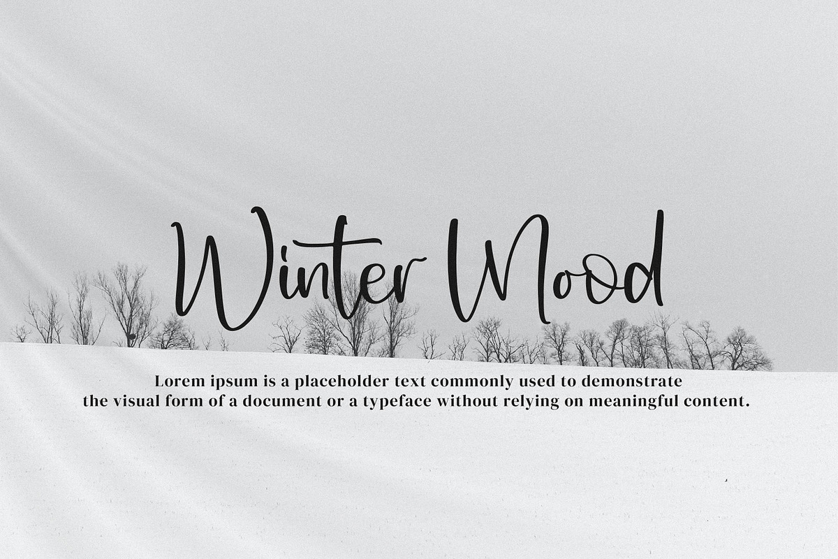 Woman Friend, a Script Font by Integritype Studio (Photo 11 of 14)