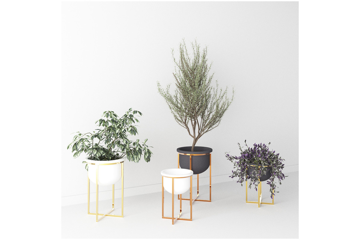 Interior Plants Trio, a Furniture 3D Model by 3DCargo (Photo 2 of 9)
