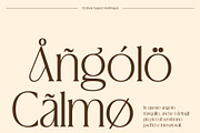 CS Brela – Elegant Serif Font, a Serif Font by Craft Supply Co. (Thumbnail 5 of 8)