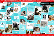 Pet Shop & Pet Care Social Media Kit, a Social Media Template by Gomes Web (Thumbnail 2 of 5)