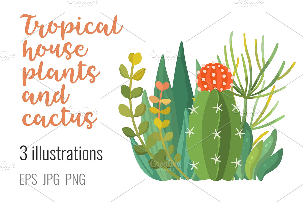 Tropic plants and cactus composition, a Decorative Illustration by Primula`s shop (Photo 3 of 3)