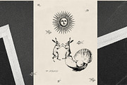 Flip Side collection, an Object Graphic by Purple (Thumbnail 9 of 10)