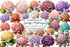 Watercolor Spring Hydrangea Flowers, a Graphic by designcity5