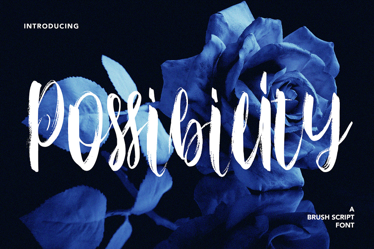 Possibility - Brush Script Font, a Script Font by AQR Studio