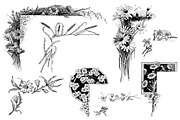 Procreate Botanical Collection, a Brush Add-On by AW Studios (Thumbnail 5 of 6)