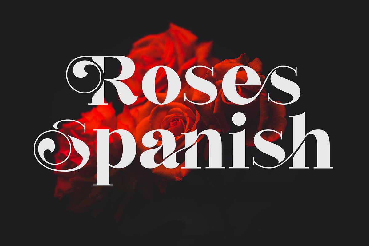 Nergisha, a Serif Font by Sealoung (Photo 9 of 15)
