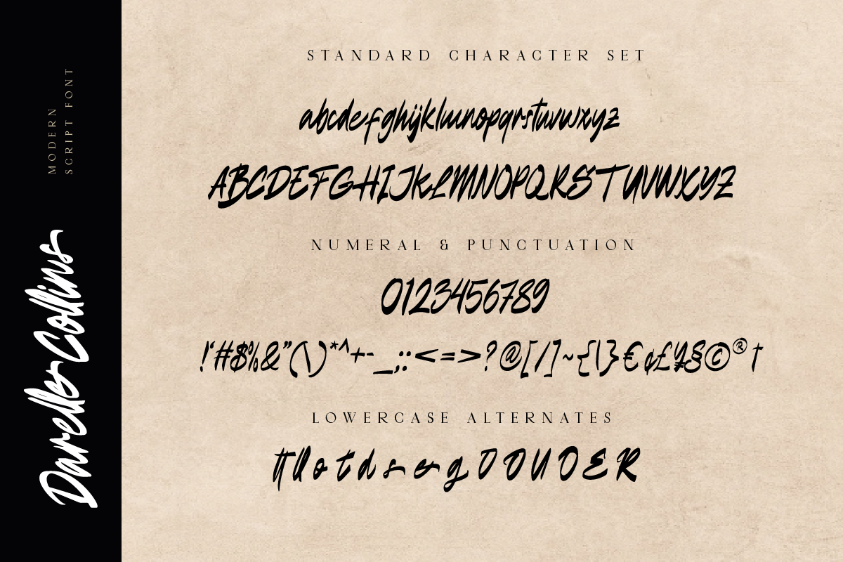 Darelle Collins Modern Script Font, a Script Font by Ronny Studio (Photo 8 of 9)