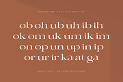 Richy - Unique Chic Font, a Serif Font by Sensatype (Thumbnail 6 of 21)