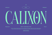 Calixon - Serif Condensed Font, a Serif Font by Indotype Foundry (Thumbnail 1 of 10)