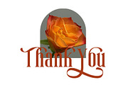 Magic Roses - Serif Clean Elegant, a Serif Font by AuthenType (Thumbnail 15 of 15)