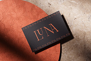 The Pixel Editorial – Modern Serif, a Sans Serif Font by Lettertype Studio (Thumbnail 4 of 15)