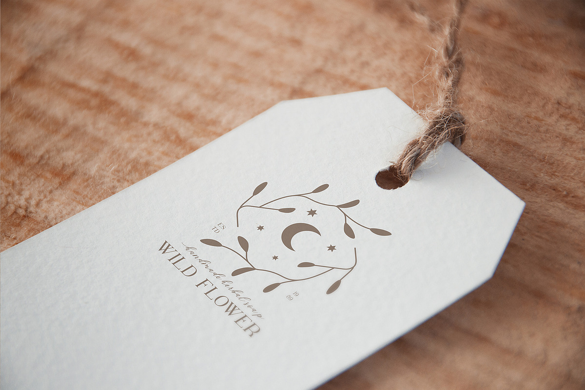 ONLY MOON SET, a Branding & Logo Template by Luna Dreams (Photo 3 of 7)