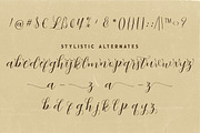 Abigaile Script Font, a Script Font by Deeezy (Thumbnail 7 of 8)
