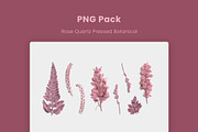 Rose Quartz Pressed Botanical PNG, an Object Graphic by Custom Scene (Thumbnail 8 of 8)