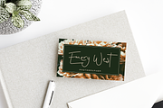 Dashwood Font, a Script Font by Design Surplus (Thumbnail 3 of 8)