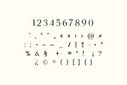 Brigton Newport Serif Font, a Serif Font by UICreative (Thumbnail 5 of 13)