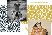 WILD NATURE animal print patterns, a Pattern Graphic by Katya_lu (Thumbnail 2 of 11)