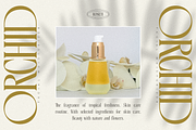 Rosseti - Elegant Retro Serif, a Serif Font by Sign Studio (Thumbnail 4 of 14)