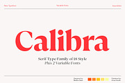 Calibra 20 Fonts | Save 40%, a Serif Font by Mulkan Nazir (Thumbnail 1 of 17)