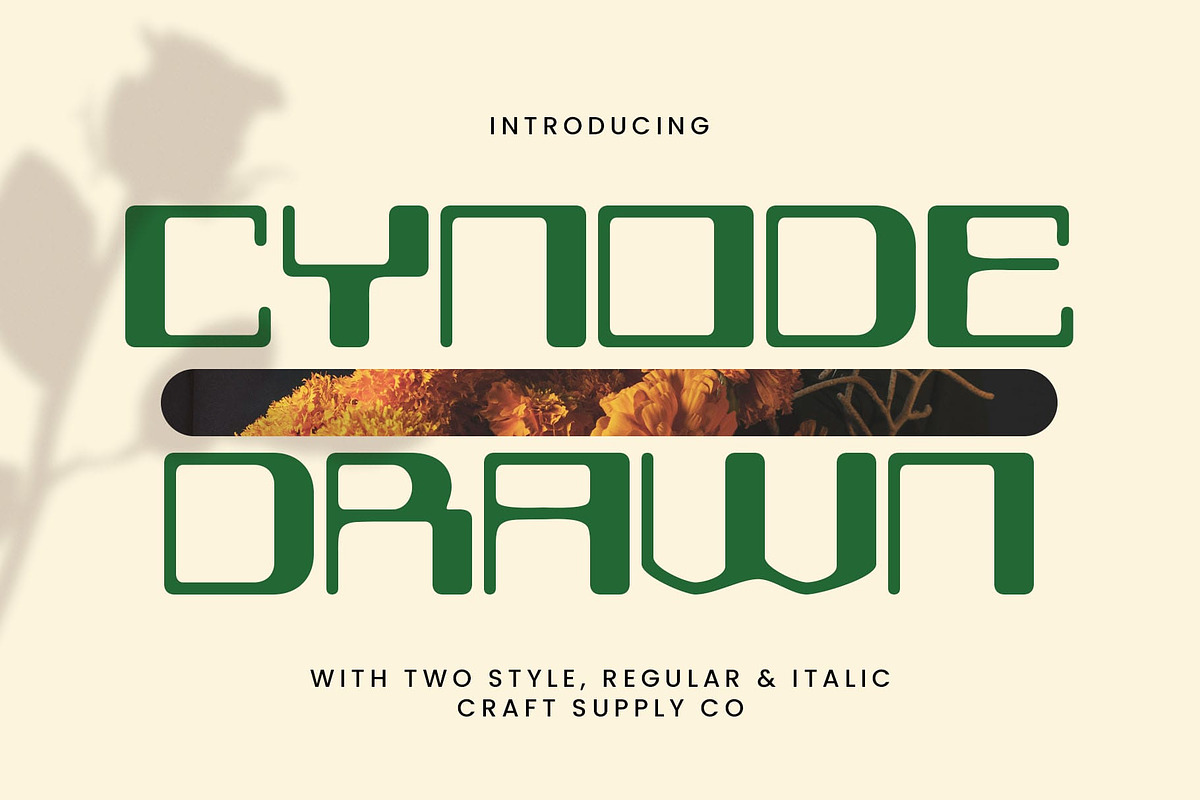Cynode Drawn, a Sans Serif Font by Craft Supply Co. (Photo 1 of 8)