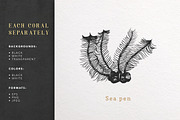 Fish & Corals Collection, an Animal Illustration by Chewie Co (Thumbnail 7 of 9)