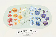 Poppy Rainbow Floral Watercolor Set, an Illustration by Cat In Colour (Thumbnail 2 of 10)