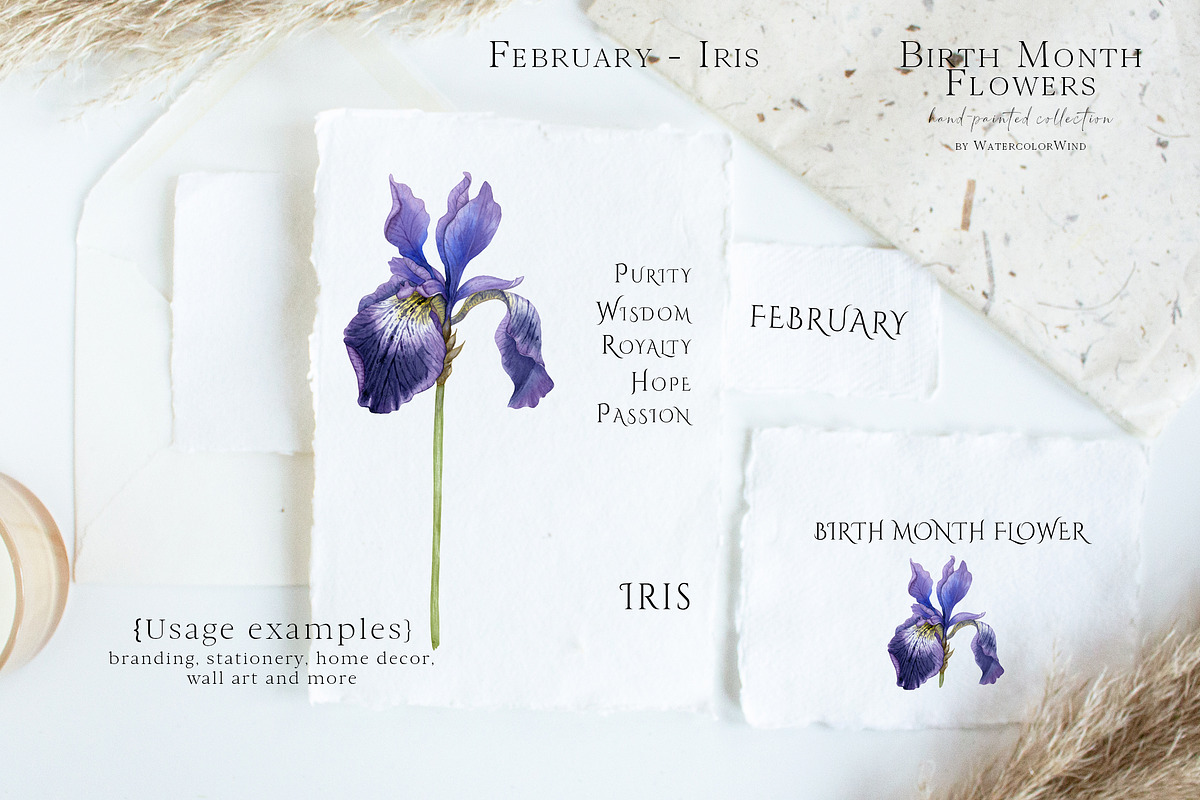 Watercolor Iris Birth Flower Clipart, an Illustration by Ksenia Shmakova (Photo 3 of 6)